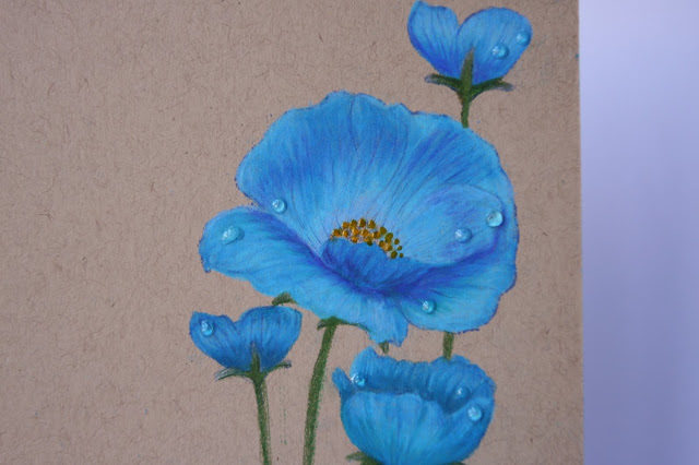 blue2012074293fd2ae6aa33827954b49ad74177a2e3fcaa07a28dd9f6fd07f4d21c2bpoppy2012074293fd2ae6aa33827954b49ad74177a2e3fcaa07a28dd9f6fd07f4d21c2bcu-8028687