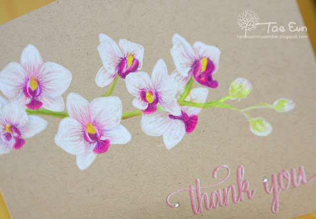 orchid2012074293fd2ae6aa33827954b49ad74177a2e3fcaa07a28dd9f6fd07f4d21c2bcu2012074293fd2ae6aa33827954b49ad74177a2e3fcaa07a28dd9f6fd07f4d21c2bwm-1429441