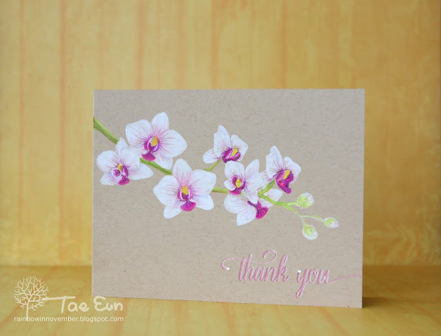 orchid2012074293fd2ae6aa33827954b49ad74177a2e3fcaa07a28dd9f6fd07f4d21c2bwm-1353956