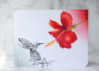 hibiscus52012074293fd2ae6aa33827954b49ad74177a2e3fcaa07a28dd9f6fd07f4d21c2bwm-1589129