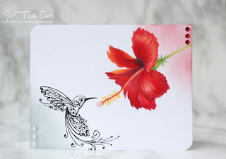 hibiscus22012074293fd2ae6aa33827954b49ad74177a2e3fcaa07a28dd9f6fd07f4d21c2bwm-4783196