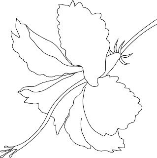 hibiscus2012074293fd2ae6aa33827954b49ad74177a2e3fcaa07a28dd9f6fd07f4d21c2boutline-2460139
