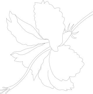 hibiscus2012074293fd2ae6aa33827954b49ad74177a2e3fcaa07a28dd9f6fd07f4d21c2bthin2012074293fd2ae6aa33827954b49ad74177a2e3fcaa07a28dd9f6fd07f4d21c2boutline-2230671