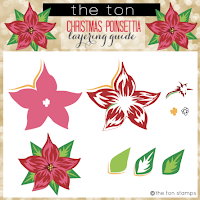 christmas-poinsettia-8699171