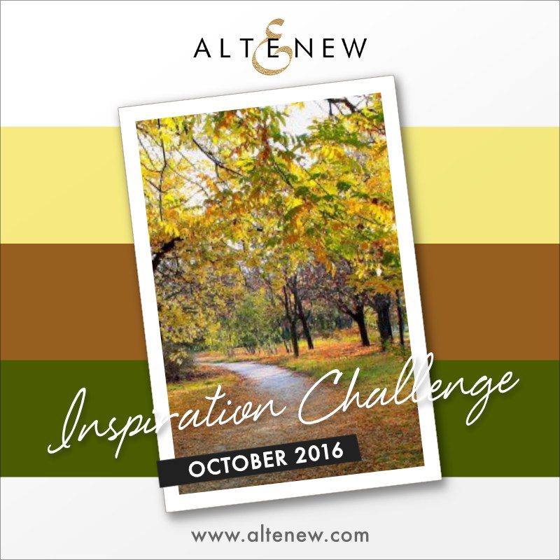 october2016_altenewinspiraitonchallenge_sveta-3972440