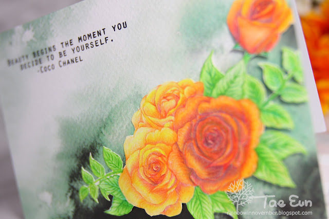 rose33ef674c9fd176649c89f9051e814eea51265cffdec397d743062752c782d724e2bcu23ef674c9fd176649c89f9051e814eea51265cffdec397d743062752c782d724e2bwm-6425739