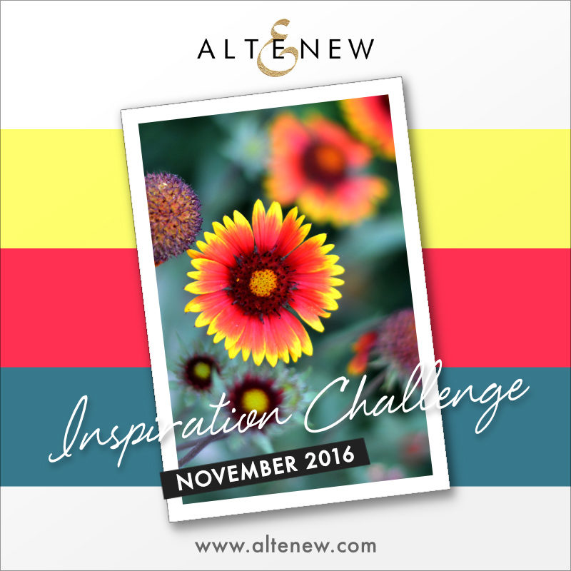 november-challenge_graphic_photoshop-4629217