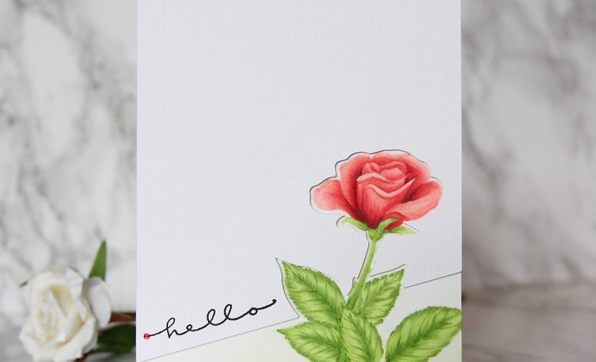 cts2063ef674c9fd176649c89f9051e814eea51265cffdec397d743062752c782d724e2b43ef674c9fd176649c89f9051e814eea51265cffdec397d743062752c782d724e2bwm-7319617