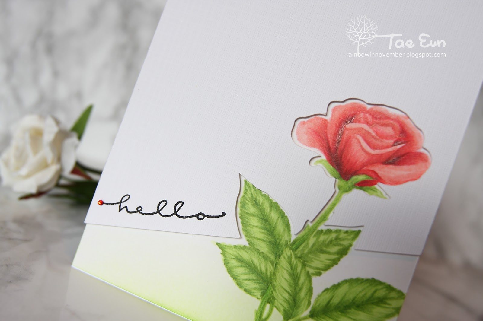 cts2063ef674c9fd176649c89f9051e814eea51265cffdec397d743062752c782d724e2bcu1wm-5008125