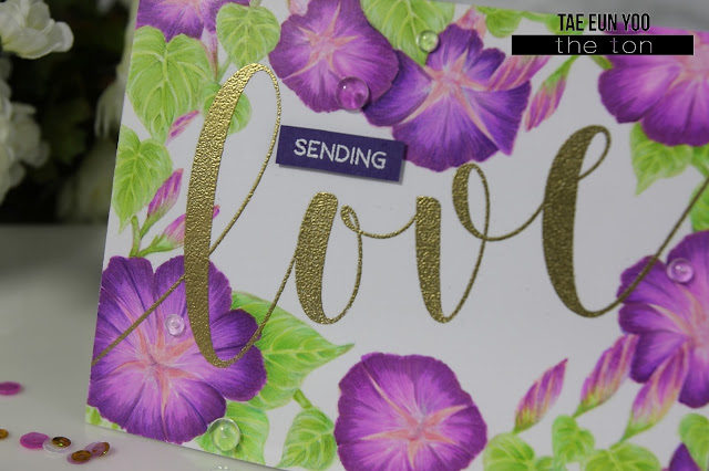 theton01123ef674c9fd176649c89f9051e814eea51265cffdec397d743062752c782d724e2b13ef674c9fd176649c89f9051e814eea51265cffdec397d743062752c782d724e2bcuwm-5337923