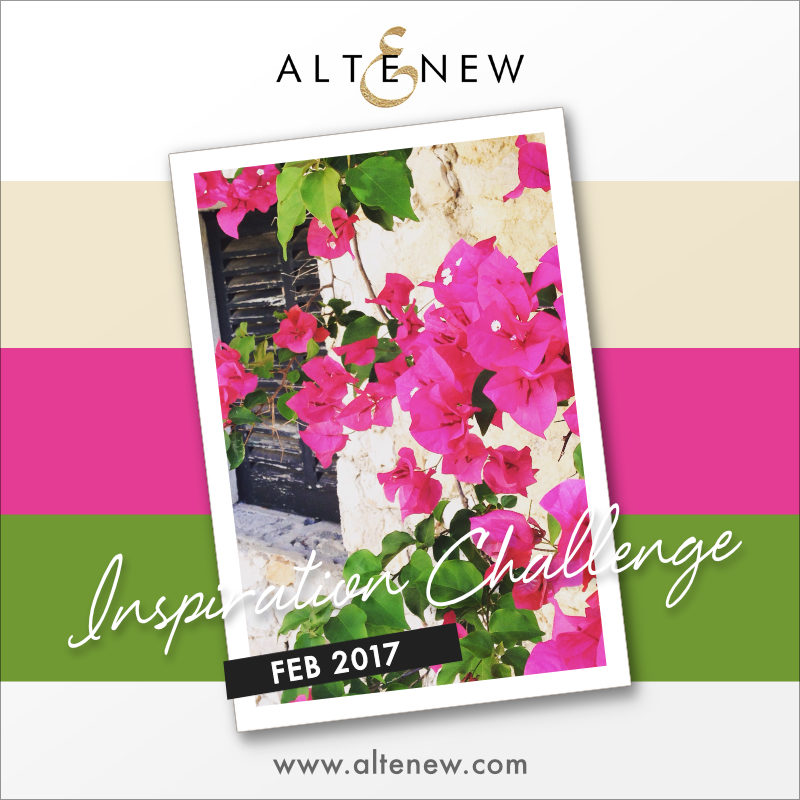 feb2017_altenewchallenge_aga-5855506