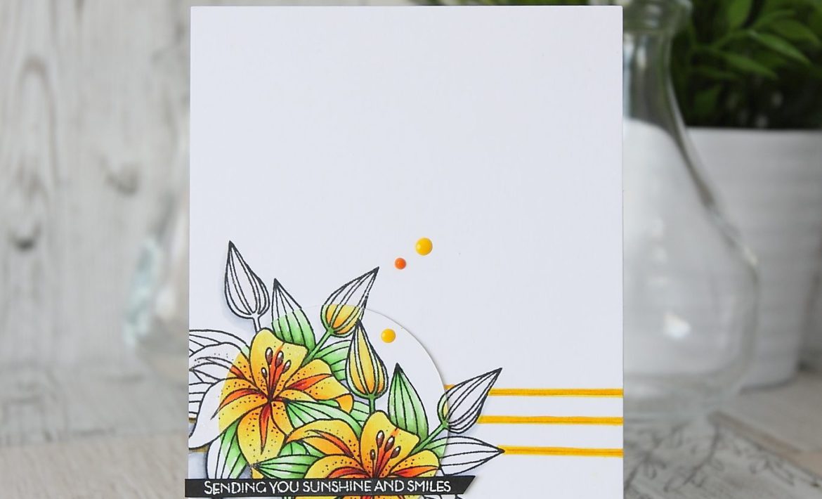 lim3173ef674c9fd176649c89f9051e814eea51265cffdec397d743062752c782d724e2b2wm-5293842