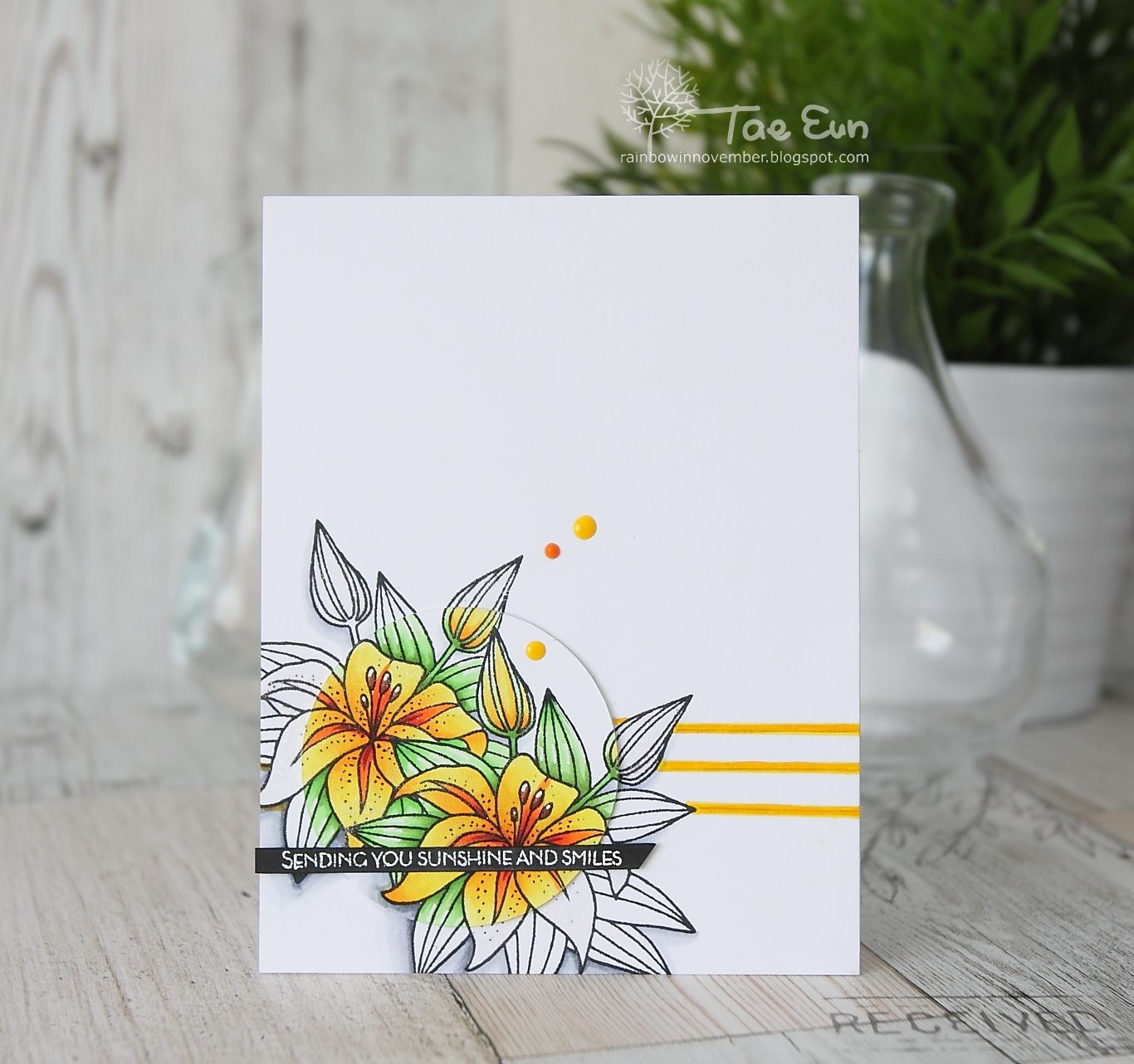 lim3173ef674c9fd176649c89f9051e814eea51265cffdec397d743062752c782d724e2b2wm-5293842