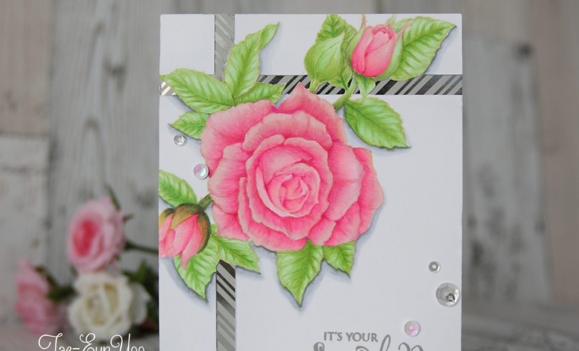 tfc63ef674c9fd176649c89f9051e814eea51265cffdec397d743062752c782d724e2bany3ef674c9fd176649c89f9051e814eea51265cffdec397d743062752c782d724e2b2wm-2471169