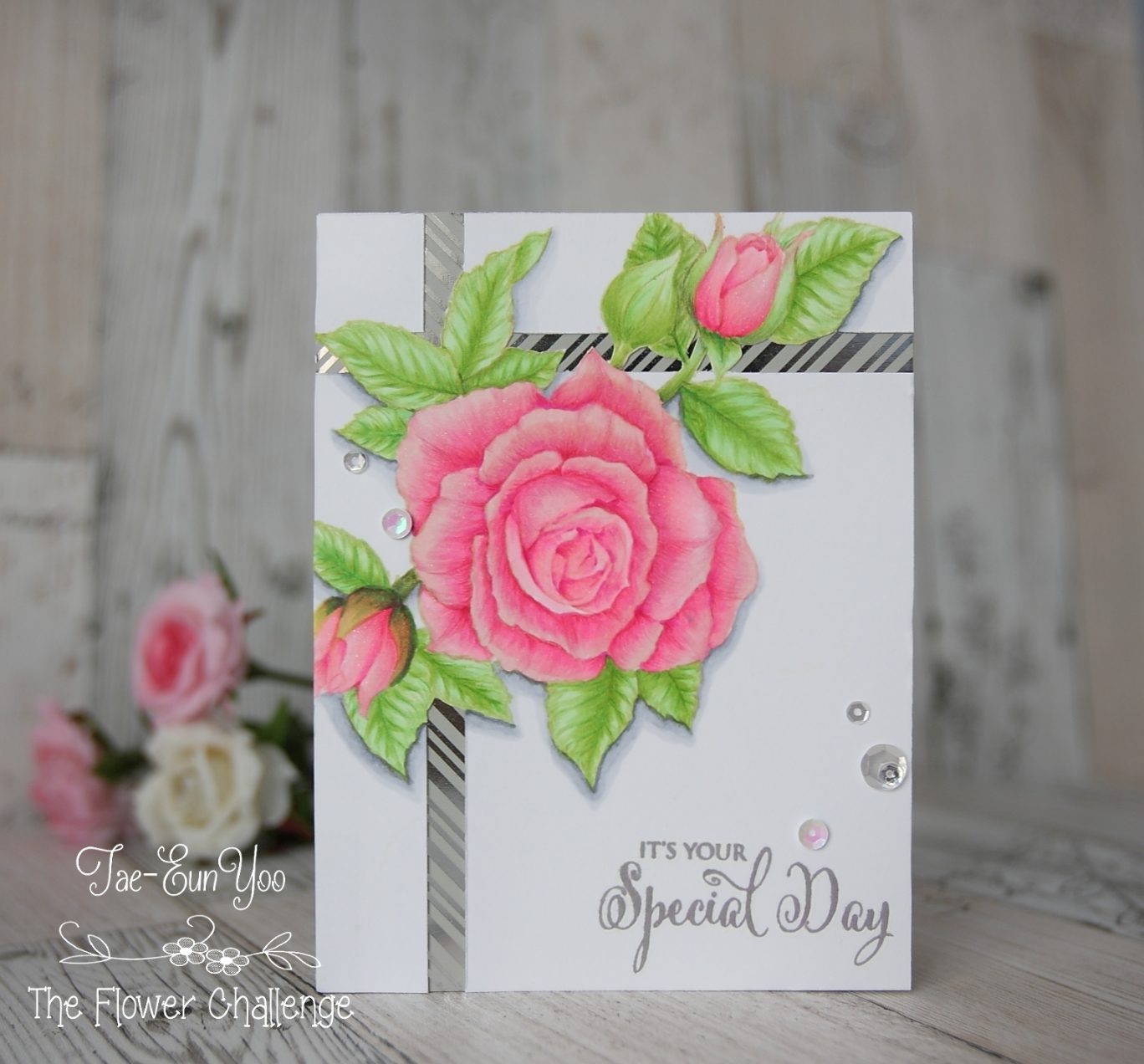 tfc63ef674c9fd176649c89f9051e814eea51265cffdec397d743062752c782d724e2bany3ef674c9fd176649c89f9051e814eea51265cffdec397d743062752c782d724e2b2wm-2471169