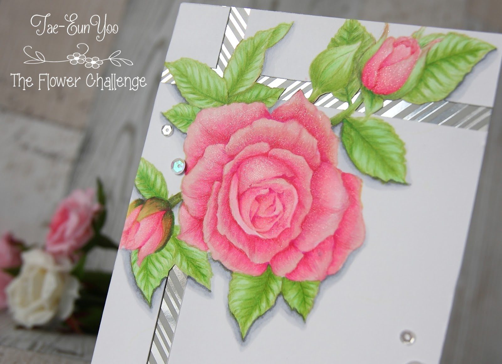 tfc63ef674c9fd176649c89f9051e814eea51265cffdec397d743062752c782d724e2bany3ef674c9fd176649c89f9051e814eea51265cffdec397d743062752c782d724e2bcu2wm-5988396