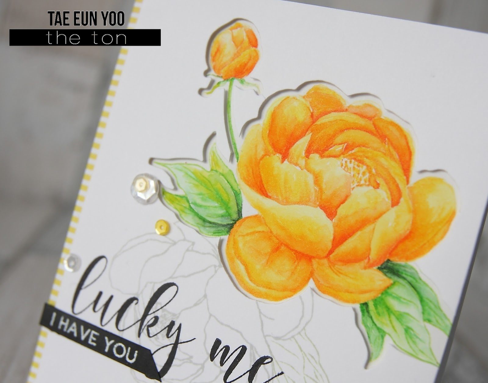 thetonlucky3ef674c9fd176649c89f9051e814eea51265cffdec397d743062752c782d724e2bcu2wm-6793516