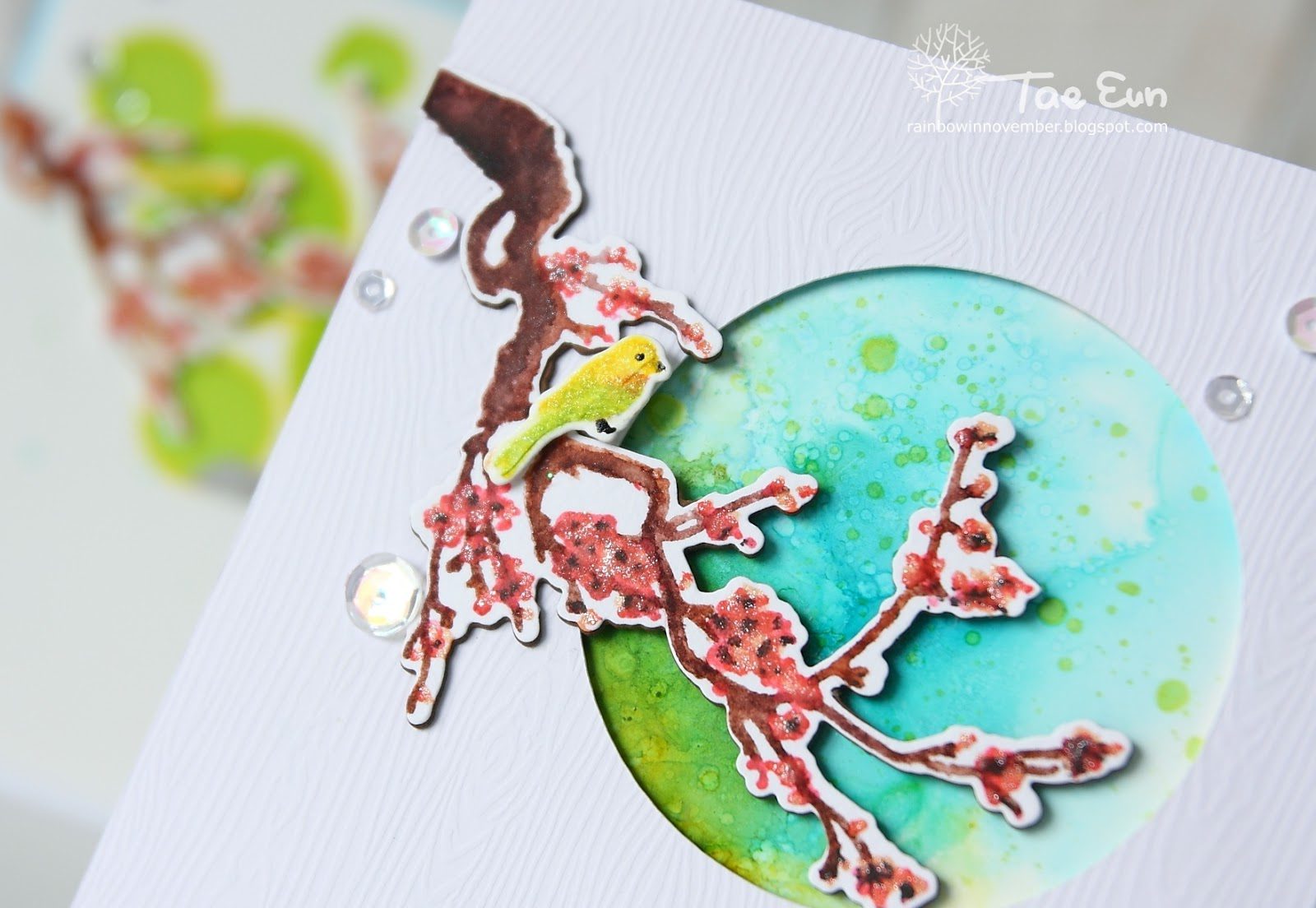 blossom13ef674c9fd176649c89f9051e814eea51265cffdec397d743062752c782d724e2bcu1wm-4963696