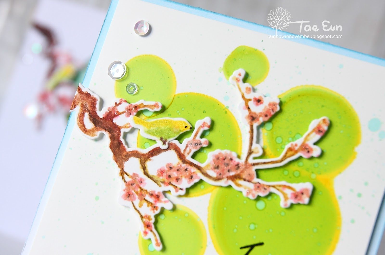 blossom23ef674c9fd176649c89f9051e814eea51265cffdec397d743062752c782d724e2bcu1wm-3779101