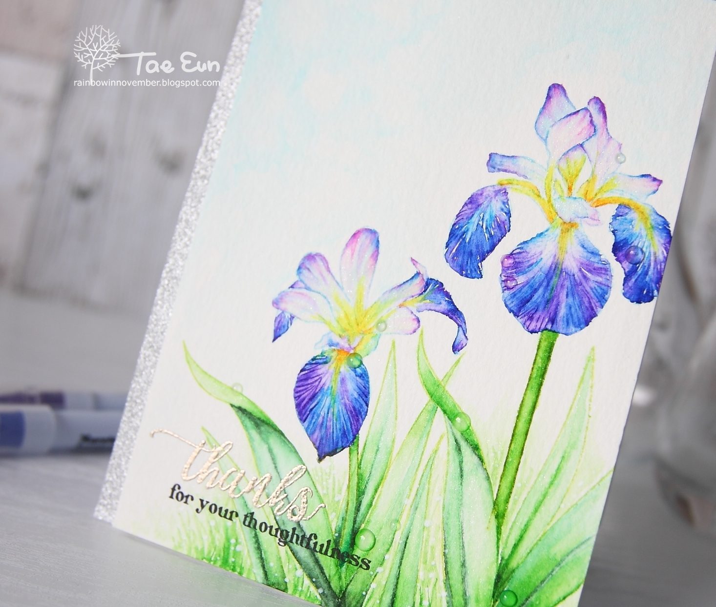 iris3ef674c9fd176649c89f9051e814eea51265cffdec397d743062752c782d724e2bcu5wm-1608604