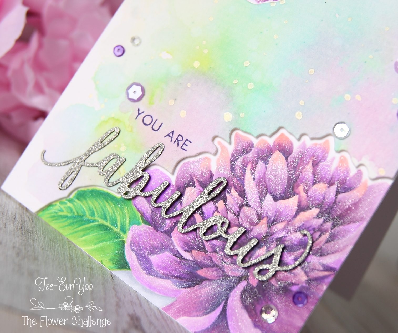 may3ef674c9fd176649c89f9051e814eea51265cffdec397d743062752c782d724e2bcase23ef674c9fd176649c89f9051e814eea51265cffdec397d743062752c782d724e2bcu2wm-8365522