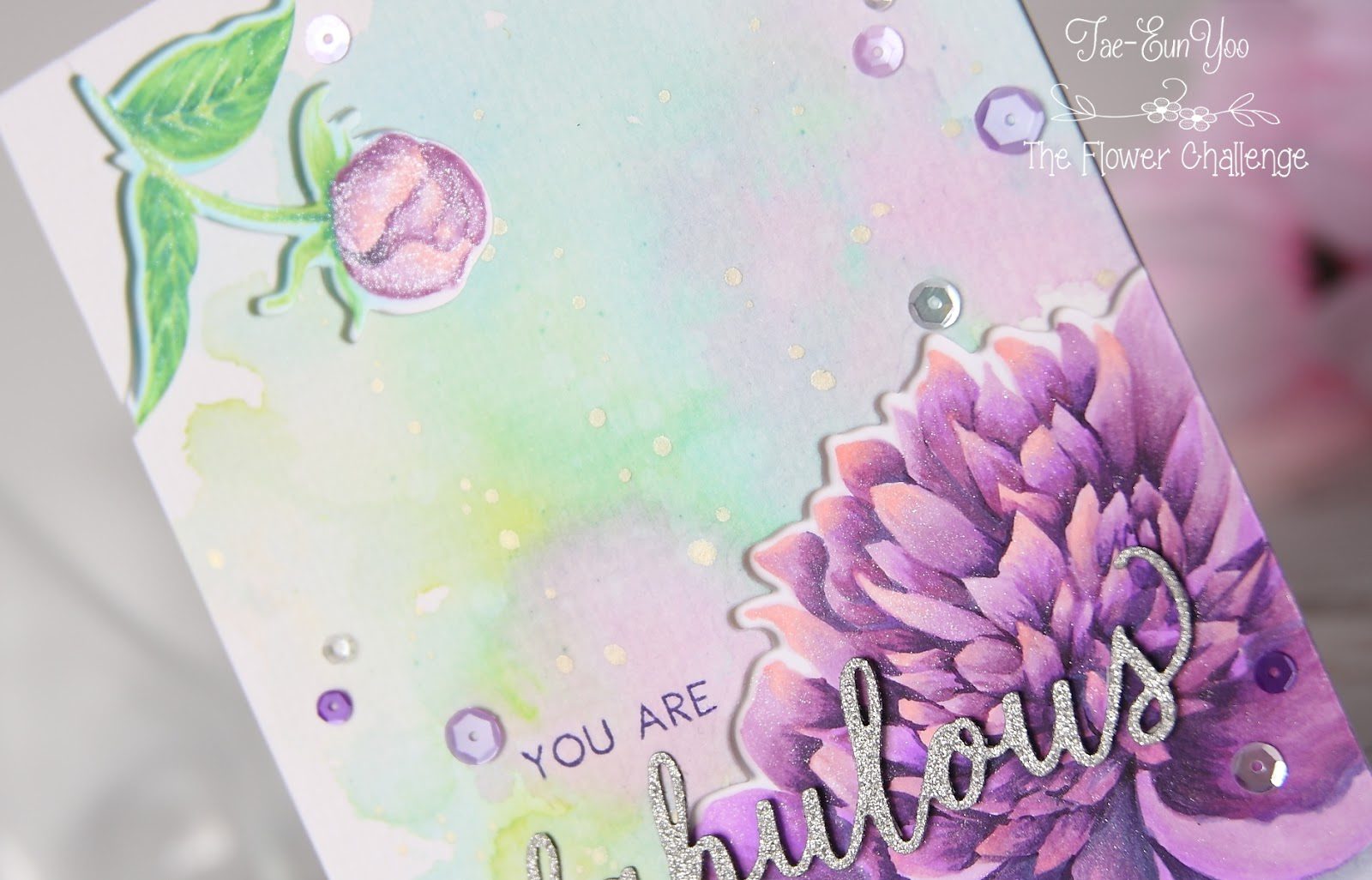 may3ef674c9fd176649c89f9051e814eea51265cffdec397d743062752c782d724e2bcase23ef674c9fd176649c89f9051e814eea51265cffdec397d743062752c782d724e2bcu5wm-6024539