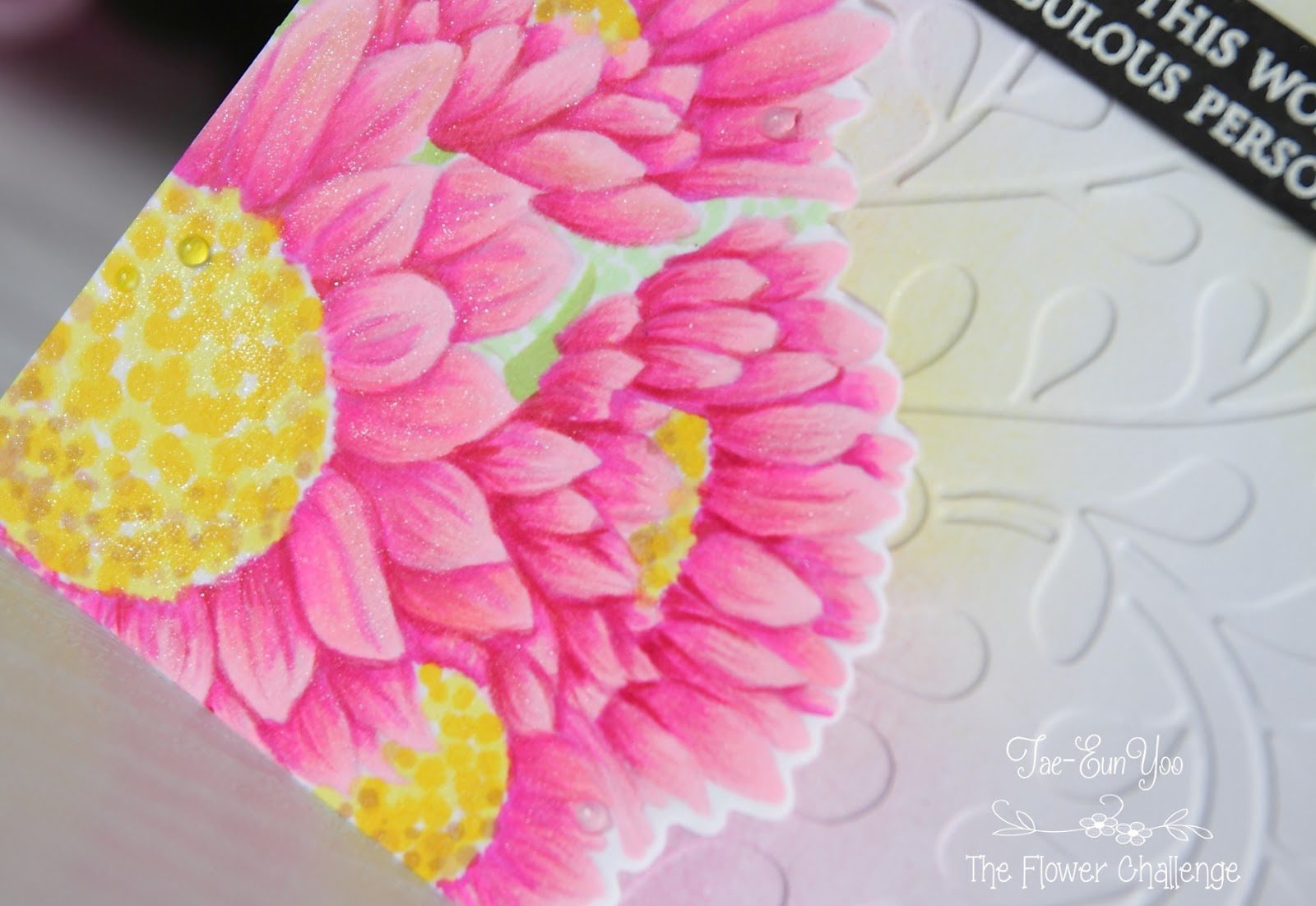 may3ef674c9fd176649c89f9051e814eea51265cffdec397d743062752c782d724e2bcase3ef674c9fd176649c89f9051e814eea51265cffdec397d743062752c782d724e2bcu3wm-9881790