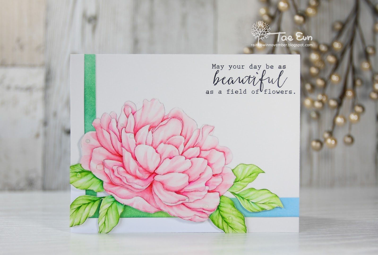 peony13ef674c9fd176649c89f9051e814eea51265cffdec397d743062752c782d724e2b1wm-8209101