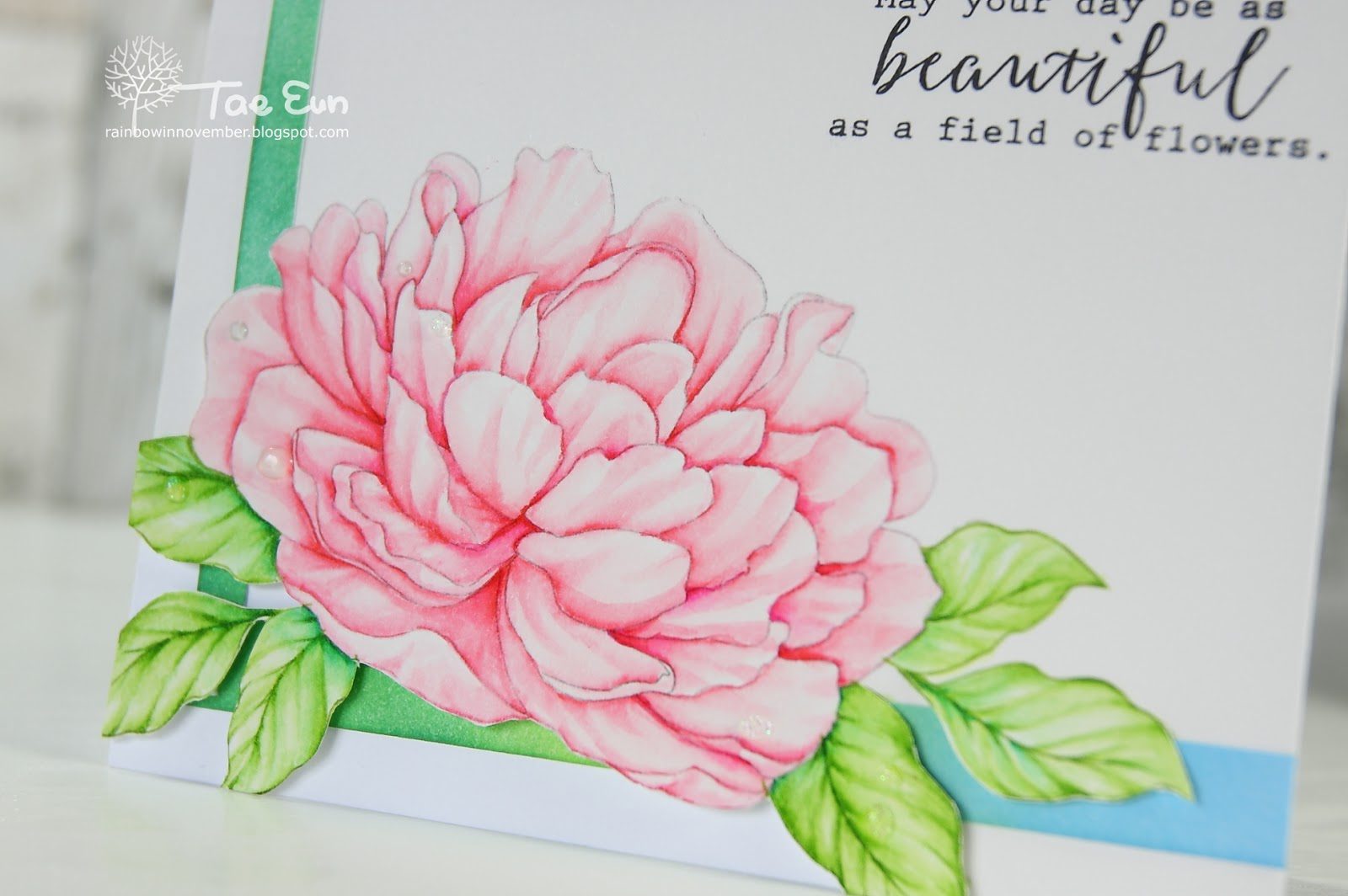 peony13ef674c9fd176649c89f9051e814eea51265cffdec397d743062752c782d724e2bcu1wm-8059997