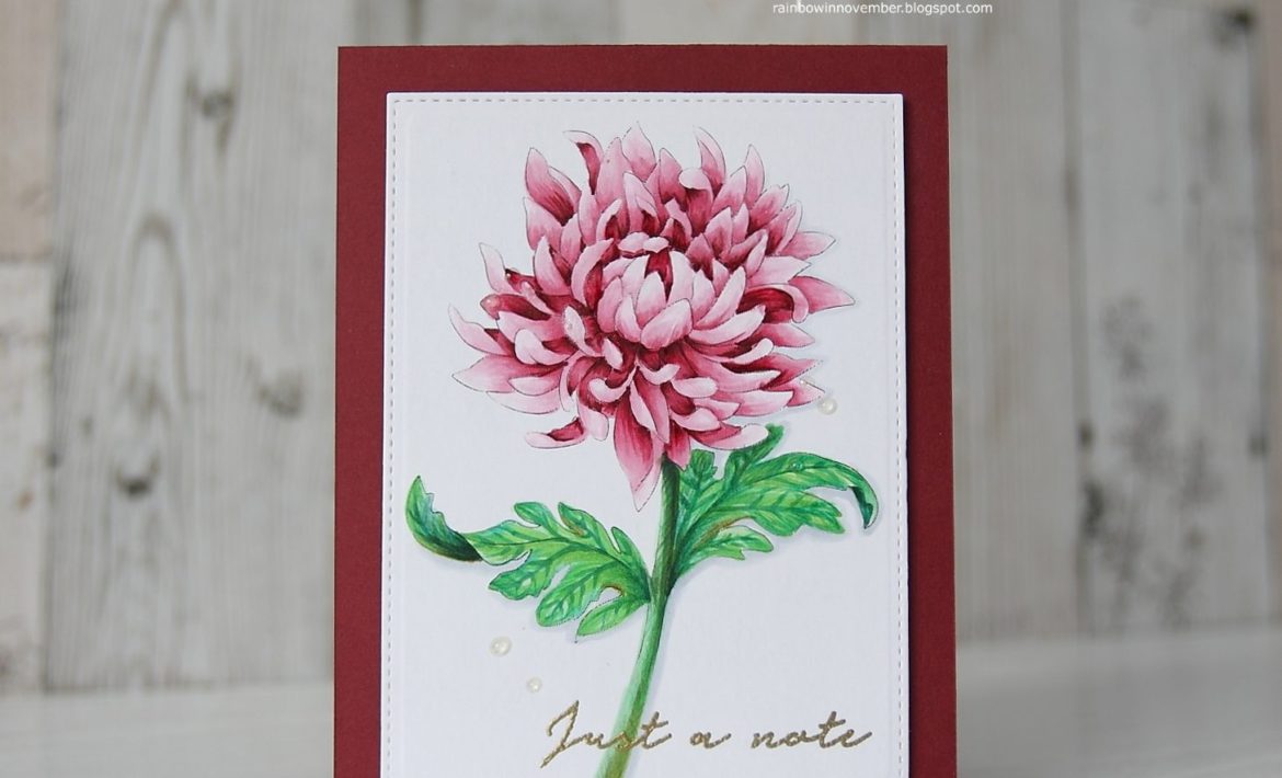 atcas1203ef674c9fd176649c89f9051e814eea51265cffdec397d743062752c782d724e2bwm-4969415