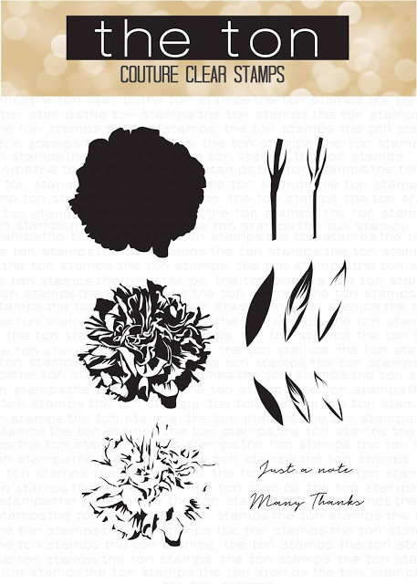 large3ef674c9fd176649c89f9051e814eea51265cffdec397d743062752c782d724e2bflorals3ef674c9fd176649c89f9051e814eea51265cffdec397d743062752c782d724e2bcarnation-6255308