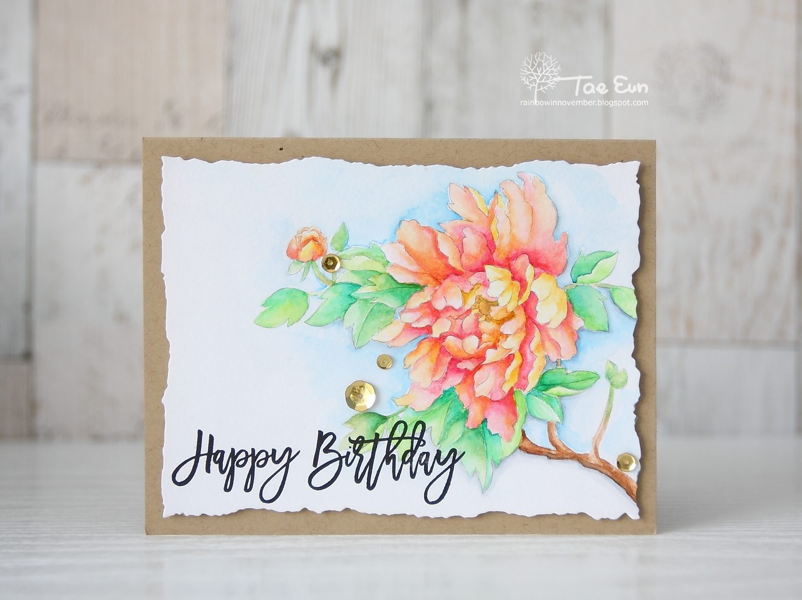 bright3ef674c9fd176649c89f9051e814eea51265cffdec397d743062752c782d724e2bpaeonia3ef674c9fd176649c89f9051e814eea51265cffdec397d743062752c782d724e2b4wm-1189567