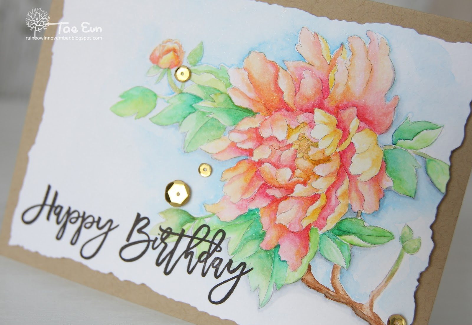 bright3ef674c9fd176649c89f9051e814eea51265cffdec397d743062752c782d724e2bpaeonia3ef674c9fd176649c89f9051e814eea51265cffdec397d743062752c782d724e2bcu3wm-3035763