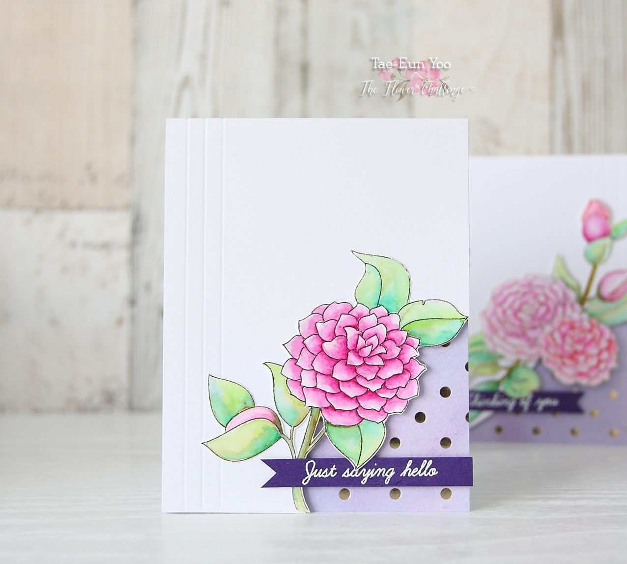 cas3ef674c9fd176649c89f9051e814eea51265cffdec397d743062752c782d724e2brem13ef674c9fd176649c89f9051e814eea51265cffdec397d743062752c782d724e2b2wm-2523972