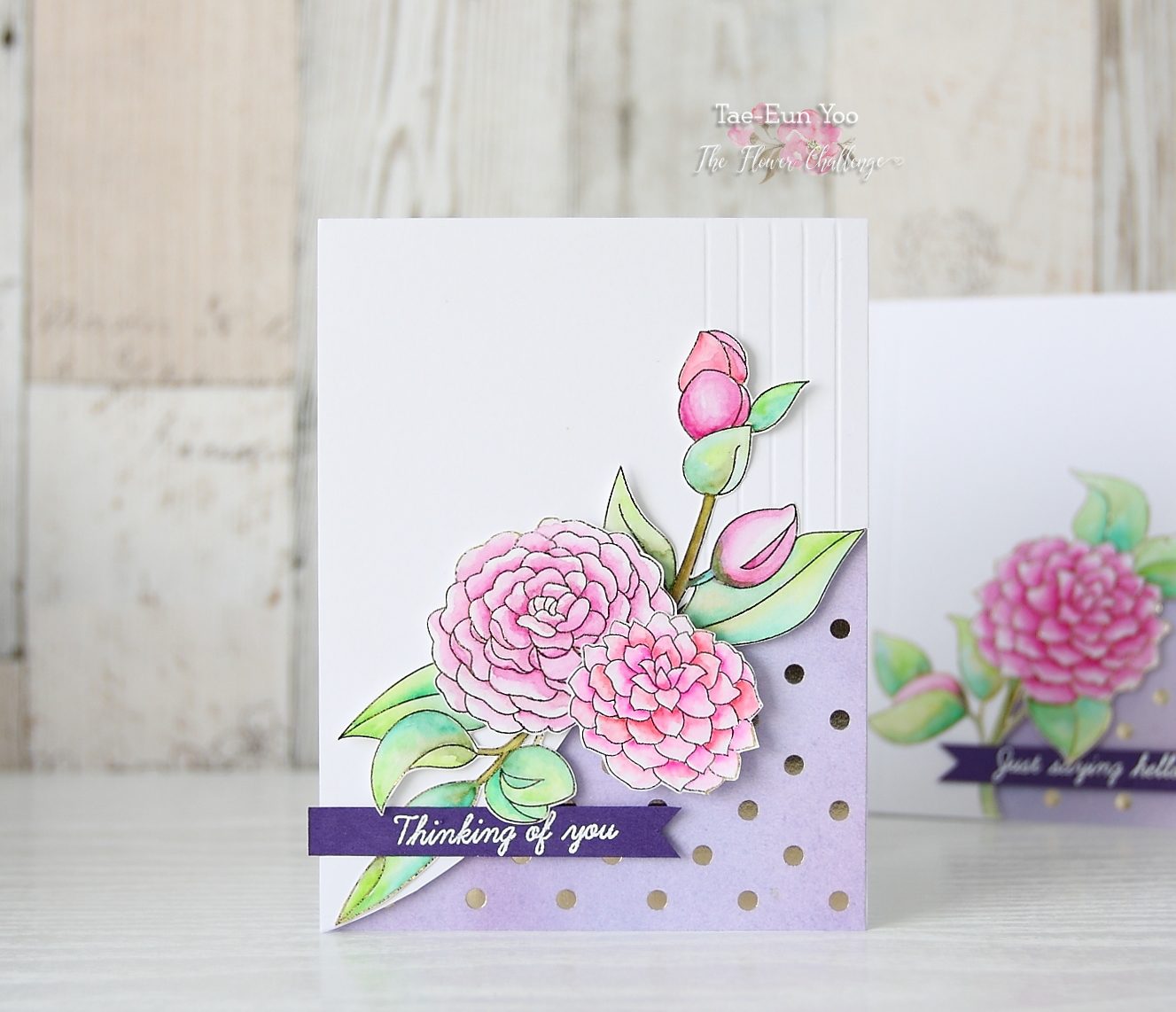 cas3ef674c9fd176649c89f9051e814eea51265cffdec397d743062752c782d724e2brem23ef674c9fd176649c89f9051e814eea51265cffdec397d743062752c782d724e2b2wm-8163436