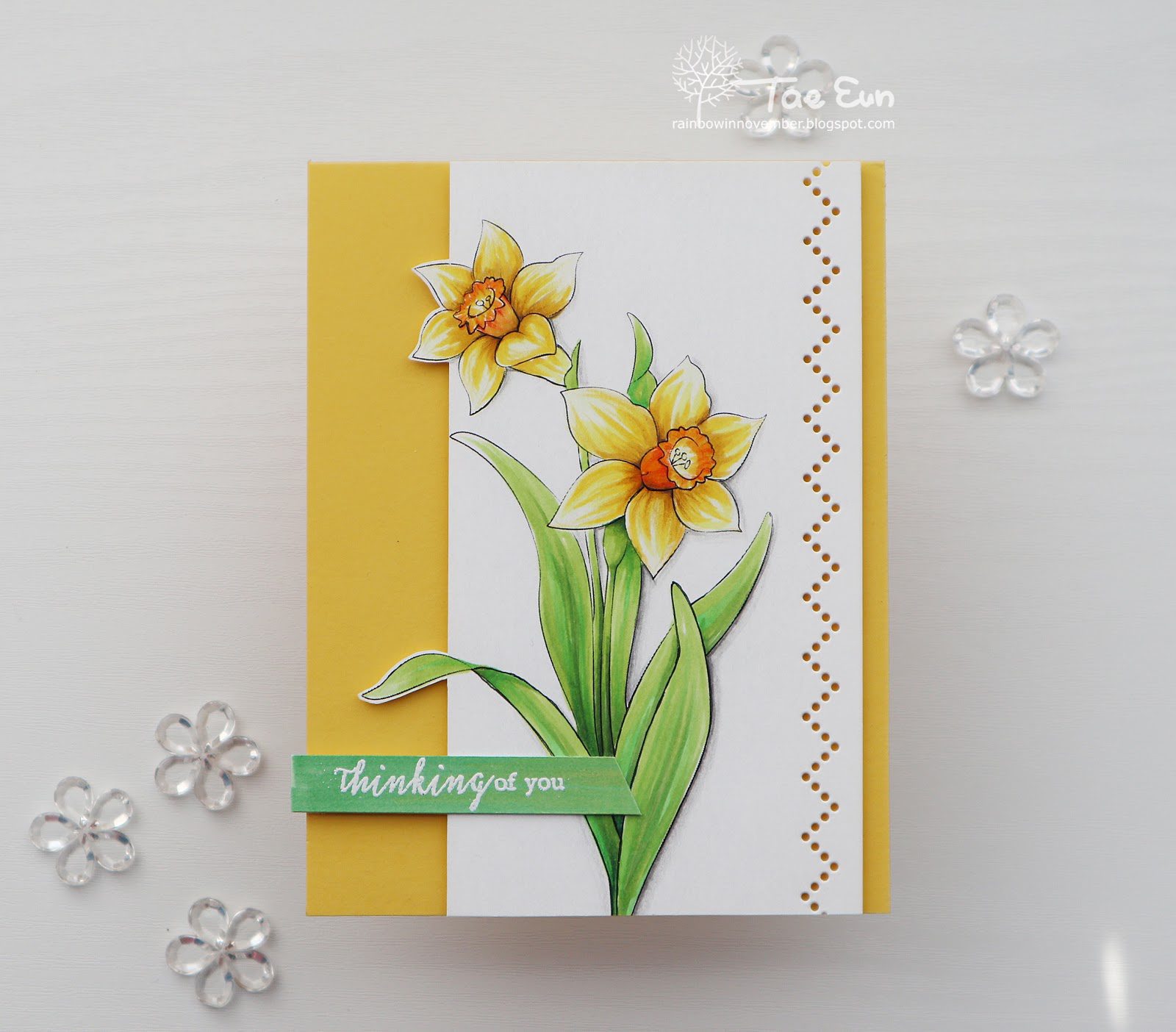 ej3ef674c9fd176649c89f9051e814eea51265cffdec397d743062752c782d724e2bdaffodil-4351978