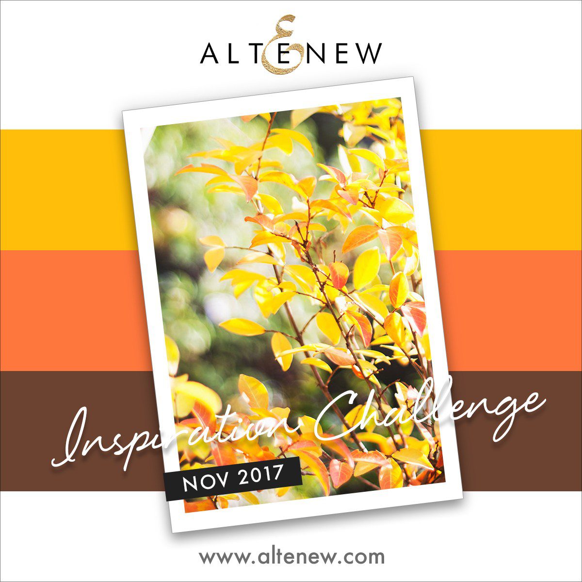 nov2017_inspiraton-challenge-2013906