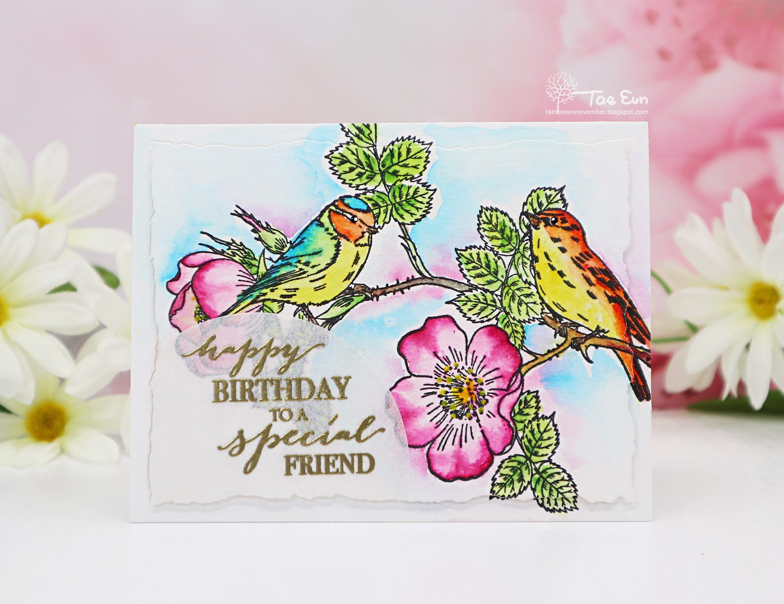 birds3ef674c9fd176649c89f9051e814eea51265cffdec397d743062752c782d724e2b53ef674c9fd176649c89f9051e814eea51265cffdec397d743062752c782d724e2bwm-1987906