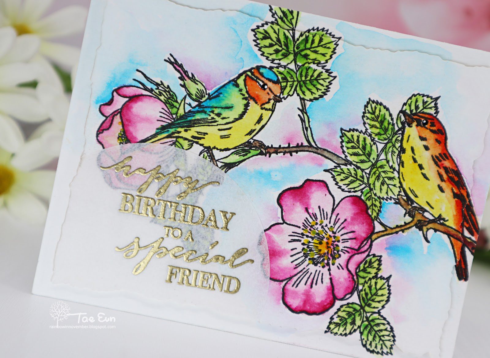 birds3ef674c9fd176649c89f9051e814eea51265cffdec397d743062752c782d724e2bcu23ef674c9fd176649c89f9051e814eea51265cffdec397d743062752c782d724e2bwm-7921953