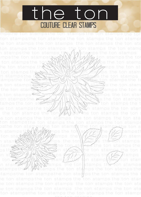 large3ef674c9fd176649c89f9051e814eea51265cffdec397d743062752c782d724e2bdahlia3ef674c9fd176649c89f9051e814eea51265cffdec397d743062752c782d724e2b3-2474489