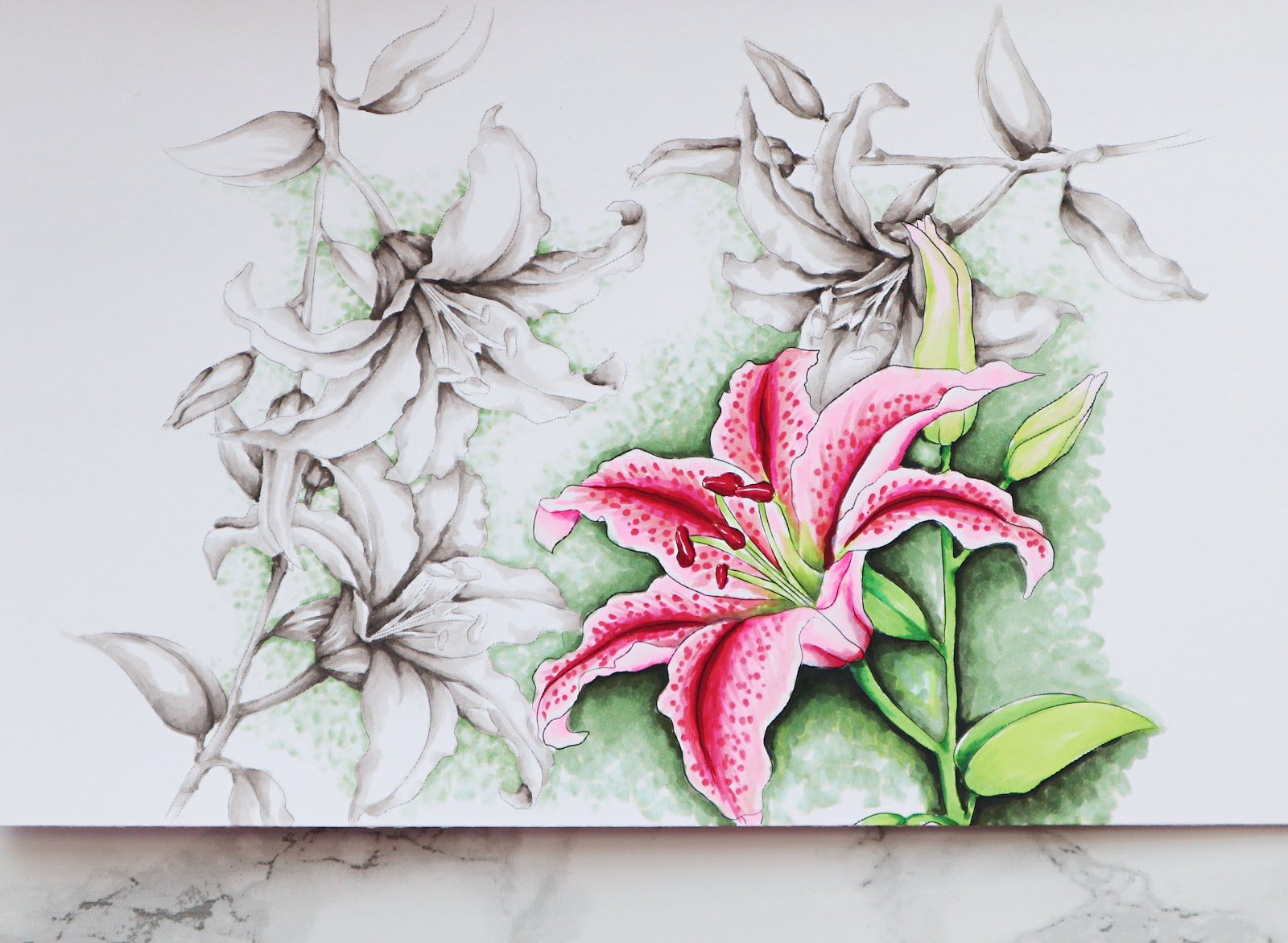 lillies3ef674c9fd176649c89f9051e814eea51265cffdec397d743062752c782d724e2bwip43ef674c9fd176649c89f9051e814eea51265cffdec397d743062752c782d724e2bnew-1440679