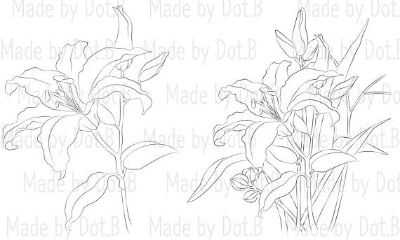 lily3ef674c9fd176649c89f9051e814eea51265cffdec397d743062752c782d724e2bwm3ef674c9fd176649c89f9051e814eea51265cffdec397d743062752c782d724e2bnew-5090131