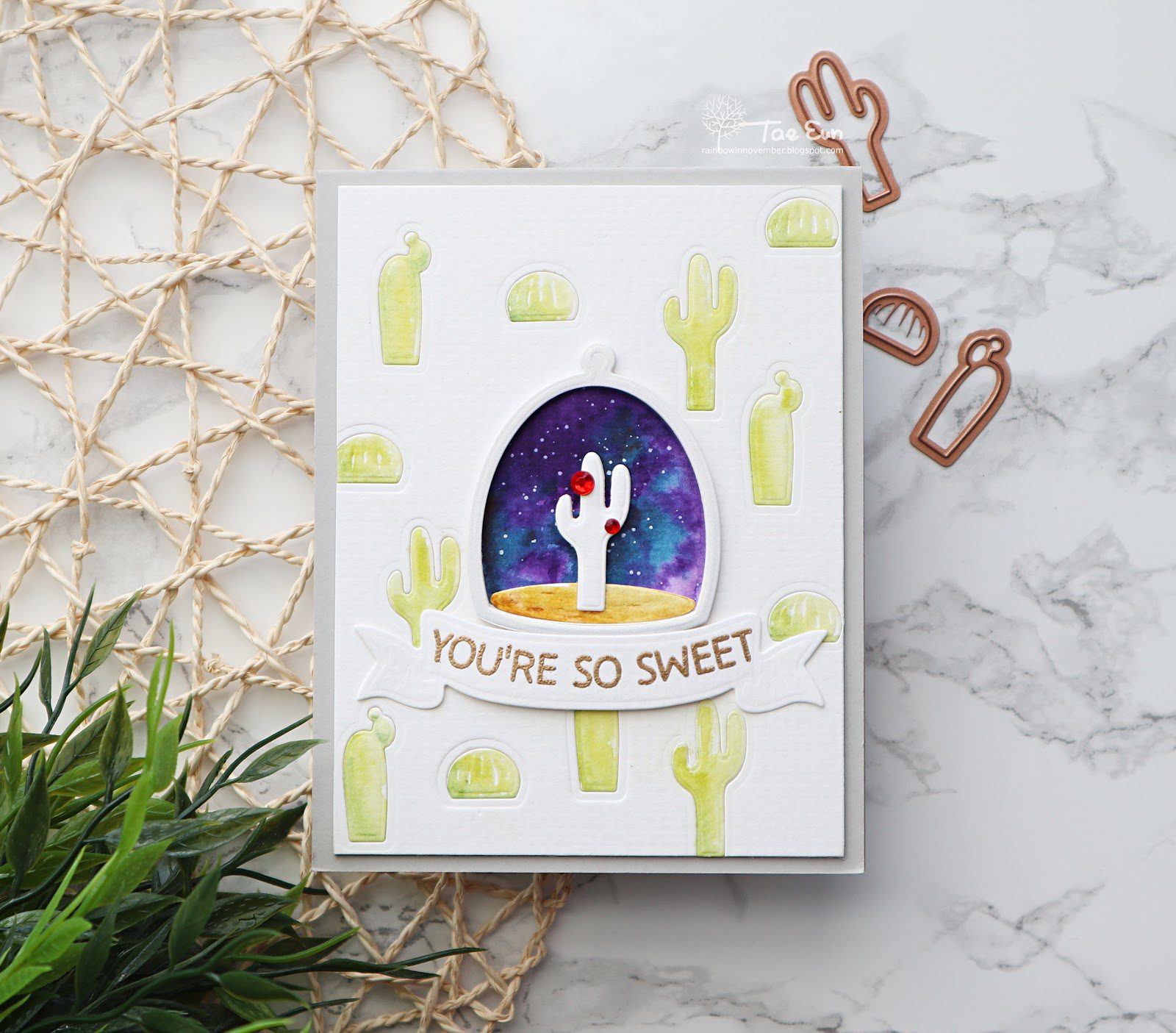 sb3ef674c9fd176649c89f9051e814eea51265cffdec397d743062752c782d724e2bcactus13ef674c9fd176649c89f9051e814eea51265cffdec397d743062752c782d724e2bwm-1987491