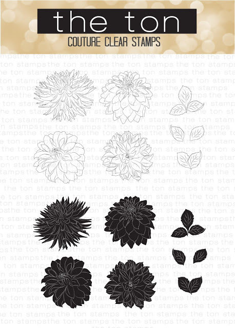 wild3ef674c9fd176649c89f9051e814eea51265cffdec397d743062752c782d724e2bdahlias-2566912