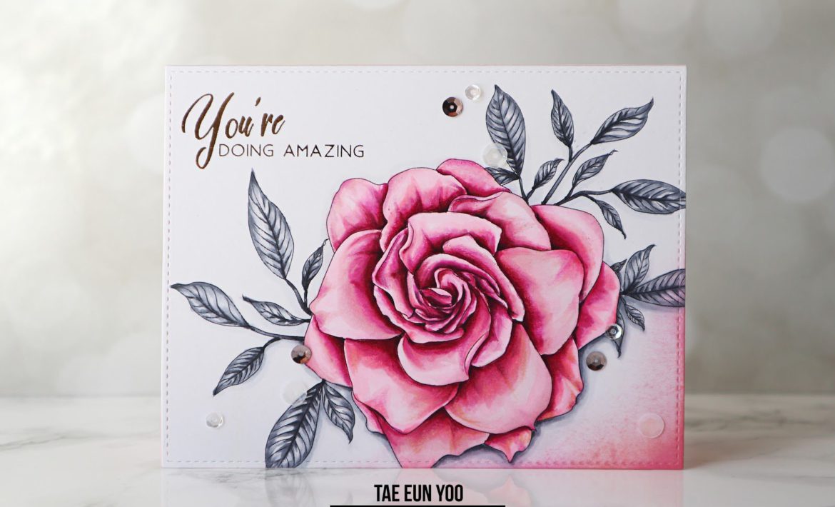 13ef674c9fd176649c89f9051e814eea51265cffdec397d743062752c782d724e2b43ef674c9fd176649c89f9051e814eea51265cffdec397d743062752c782d724e2bwm-7327399