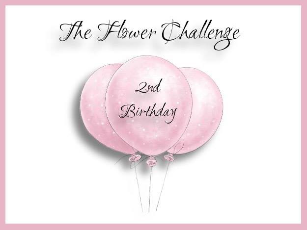 2nd3ef674c9fd176649c89f9051e814eea51265cffdec397d743062752c782d724e2bbirthday-5472933