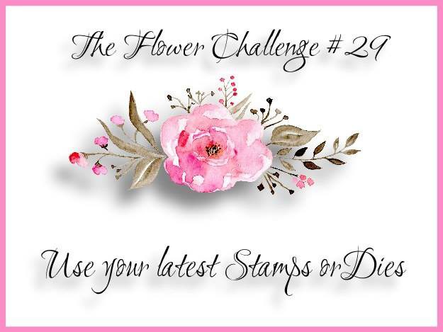 banner3ef674c9fd176649c89f9051e814eea51265cffdec397d743062752c782d724e2b29-4609638