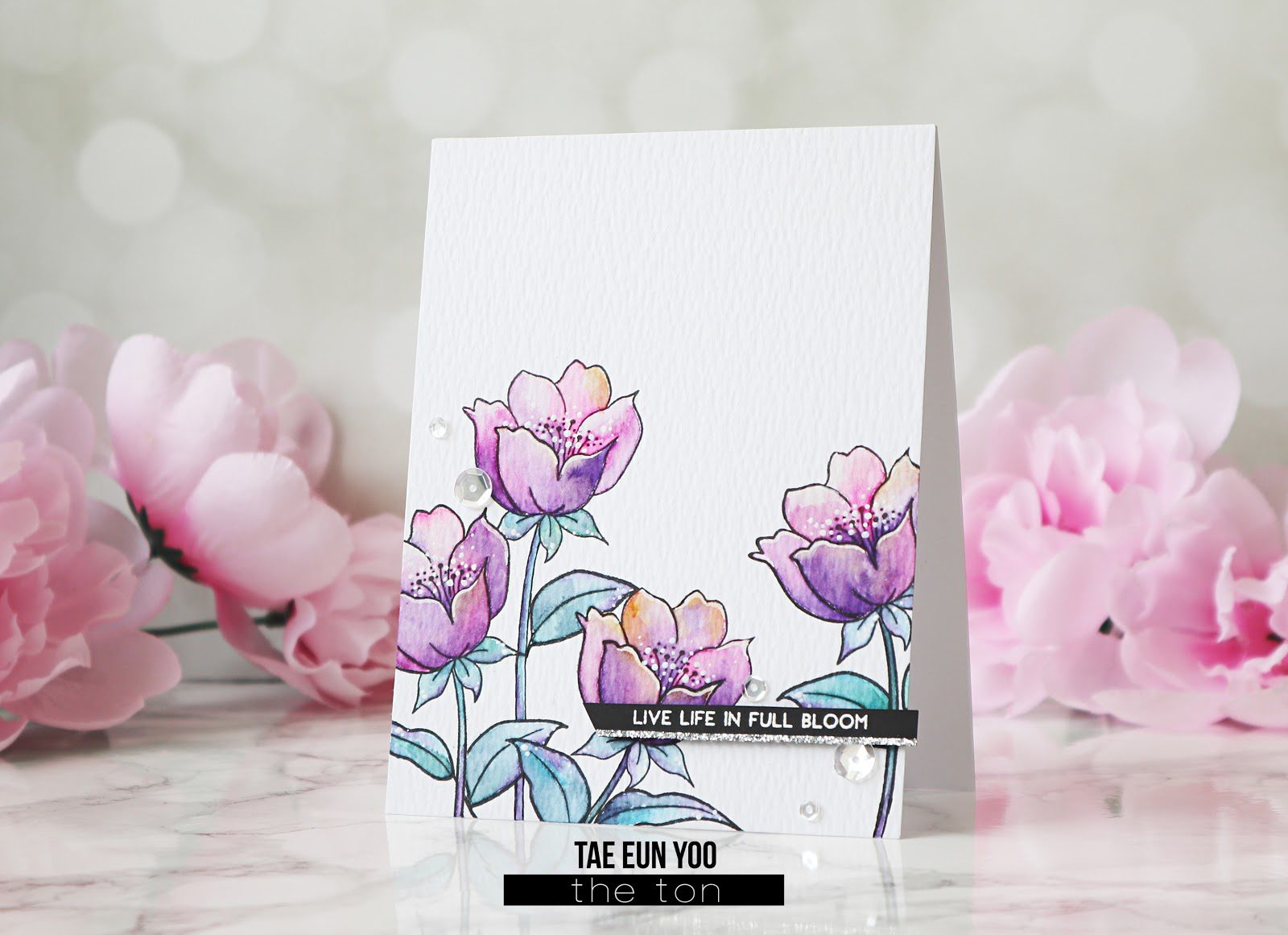 bud3ef674c9fd176649c89f9051e814eea51265cffdec397d743062752c782d724e2b63ef674c9fd176649c89f9051e814eea51265cffdec397d743062752c782d724e2bwm-3521548