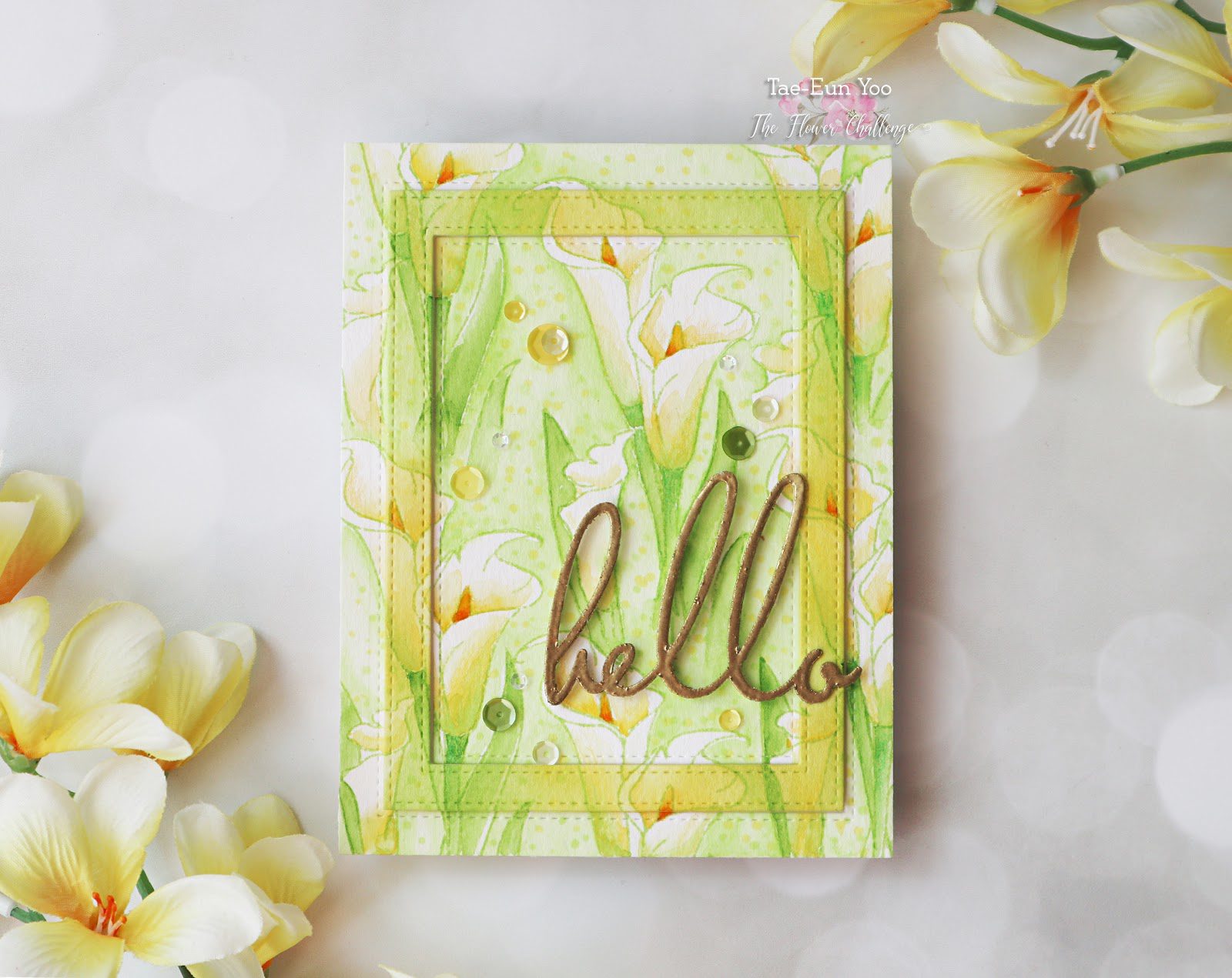 bg13ef674c9fd176649c89f9051e814eea51265cffdec397d743062752c782d724e2bwm-8555218