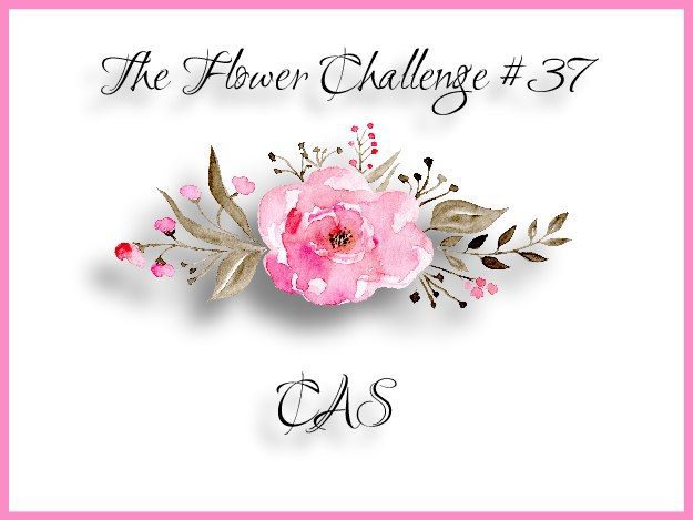 badge3ef674c9fd176649c89f9051e814eea51265cffdec397d743062752c782d724e2b373ef674c9fd176649c89f9051e814eea51265cffdec397d743062752c782d724e2bcas-1076928